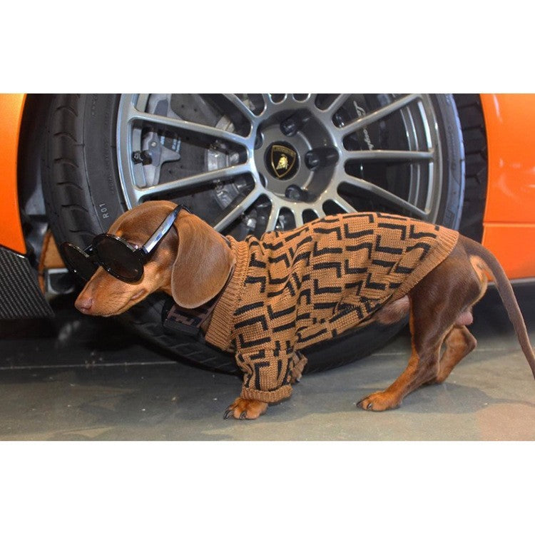 Clothes Medium And Large Puppy Casual Brown Letter Sweater