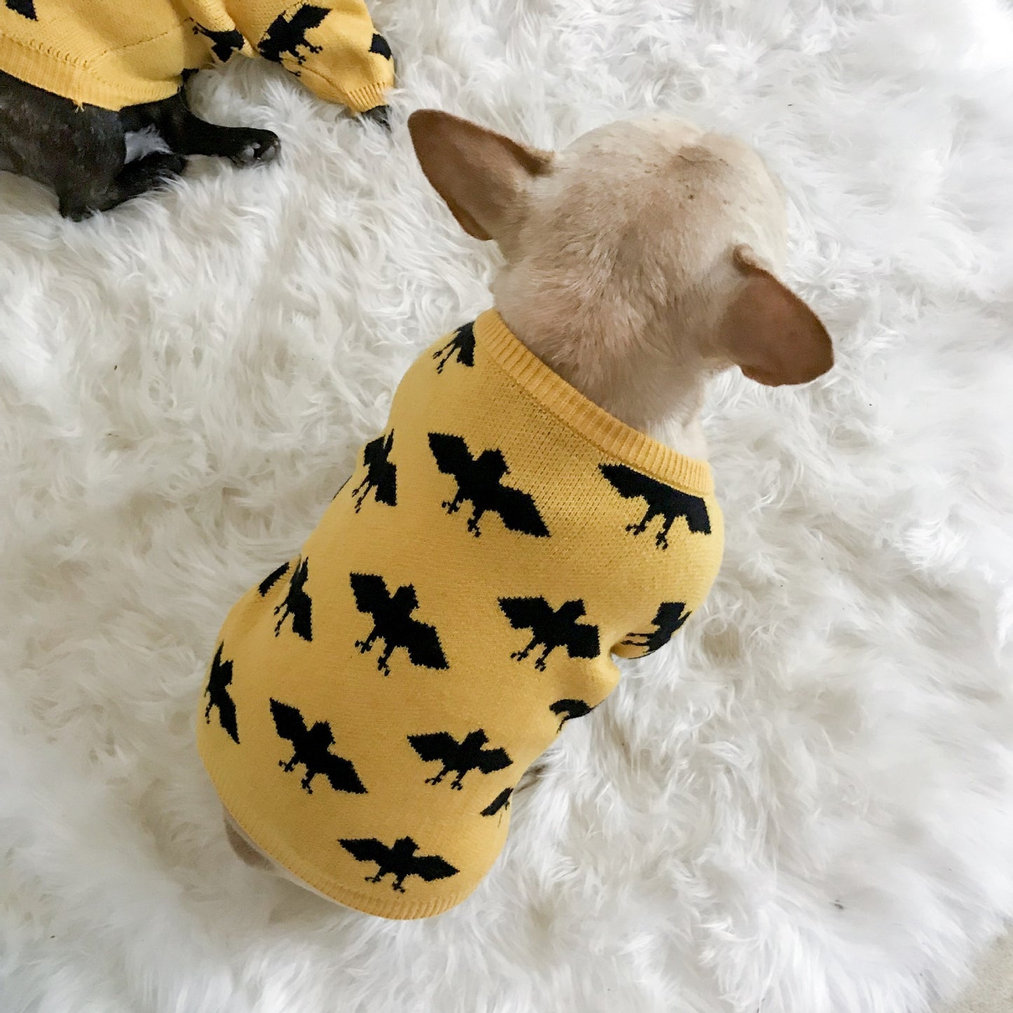 Bat warm core-spun yarn pet sweater