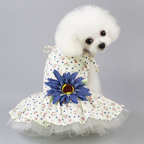 Small dog clothes spring thin pet summer princess dress