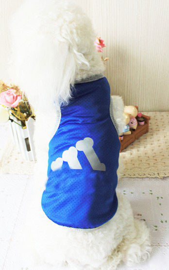 Pet clothes clothing