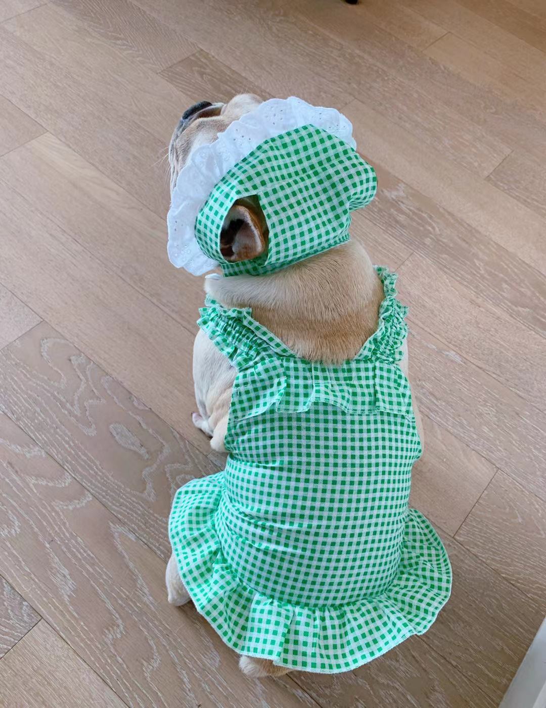 Creative Plaid Dog Dress Set