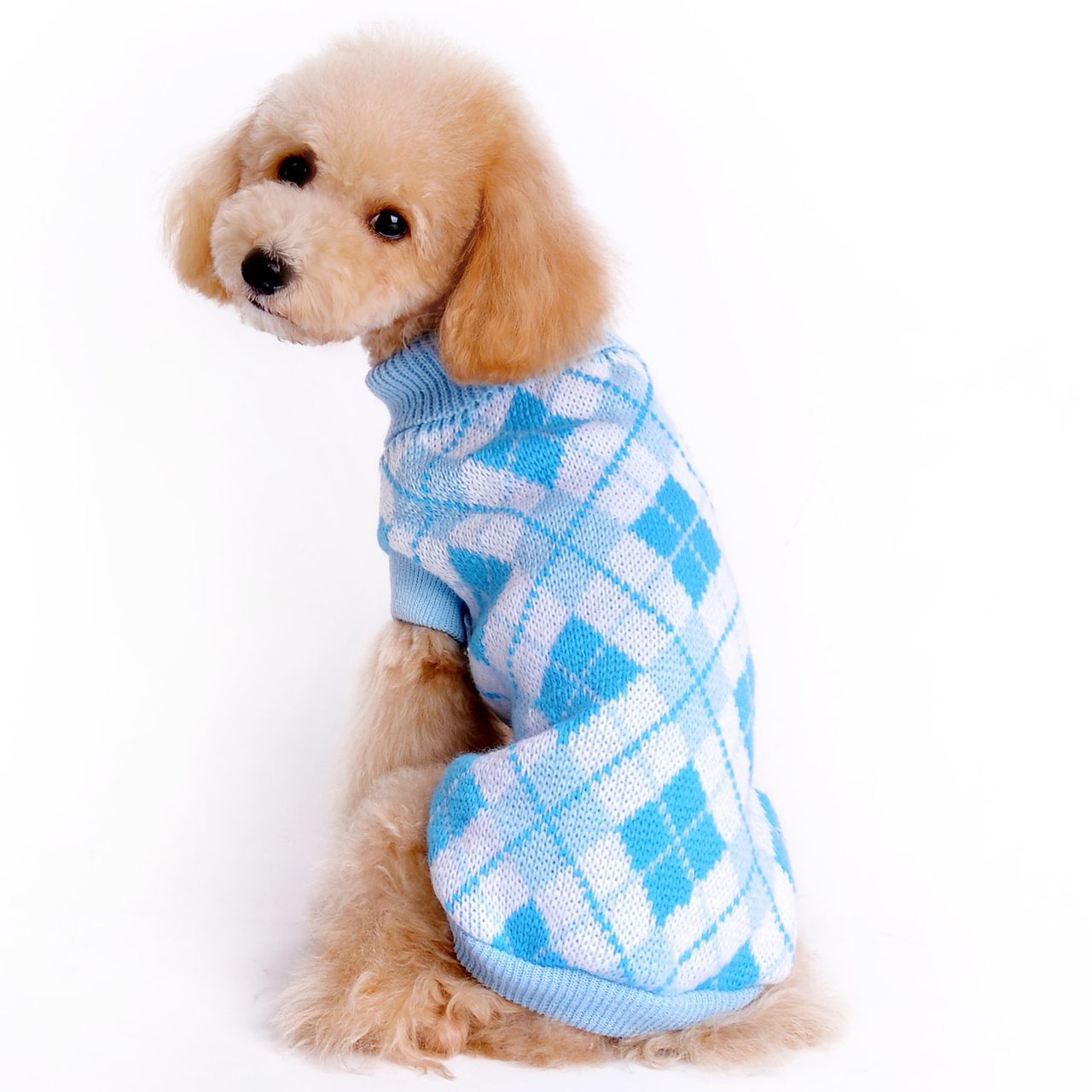 Pet clothes autumn and winter knitting