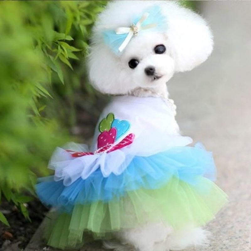 Small dog clothes spring thin pet summer princess dress