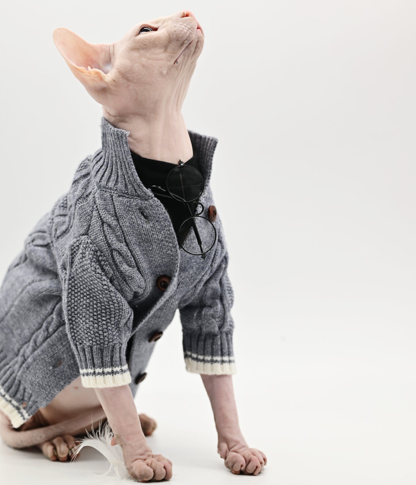 Pure Cotton Knitted Soft Fabric Hairless Cat Sweater