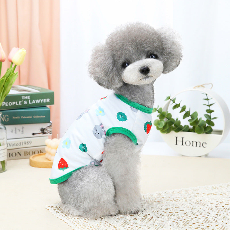 Spring And Summer Pet Costume Clothes