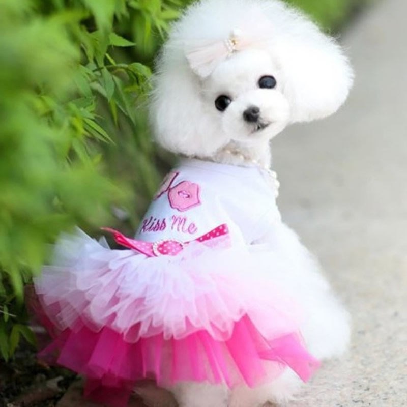 Small dog clothes spring thin pet summer princess dress