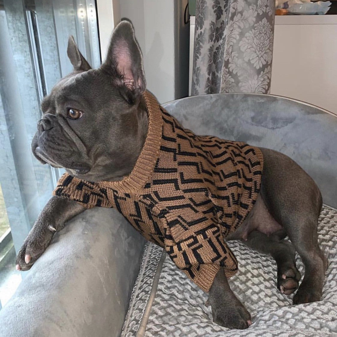 Clothes Medium And Large Puppy Casual Brown Letter Sweater