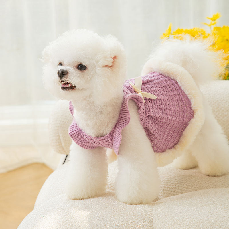 Bow Sweater Skirt Princess Wind Pet Two-legged Clothes