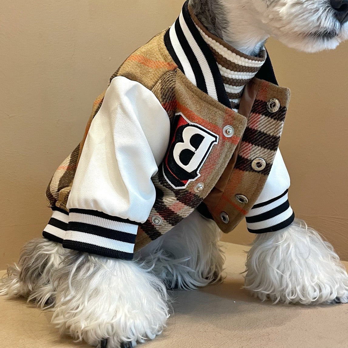 Dog Clothes Winter Wool Jarre Aero Bull Schnauzer Bichon Teddy Shiba Inu Pet Hair Padded Jacket