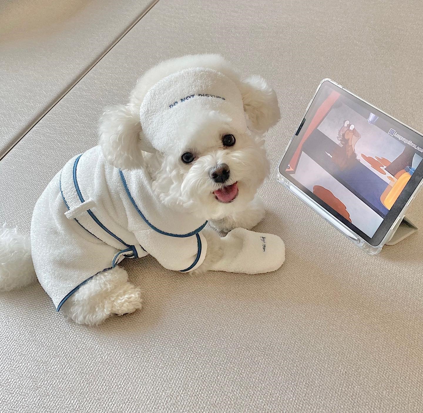 Hotel Pet Bath Towel Bathrobe Photo Props