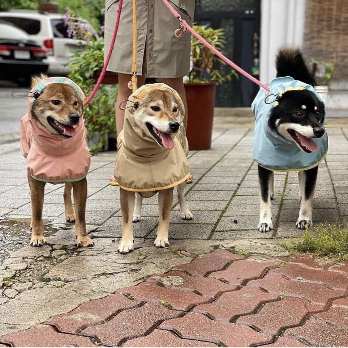 Dog Raincoats For Large Do Not Affect Walking Safety