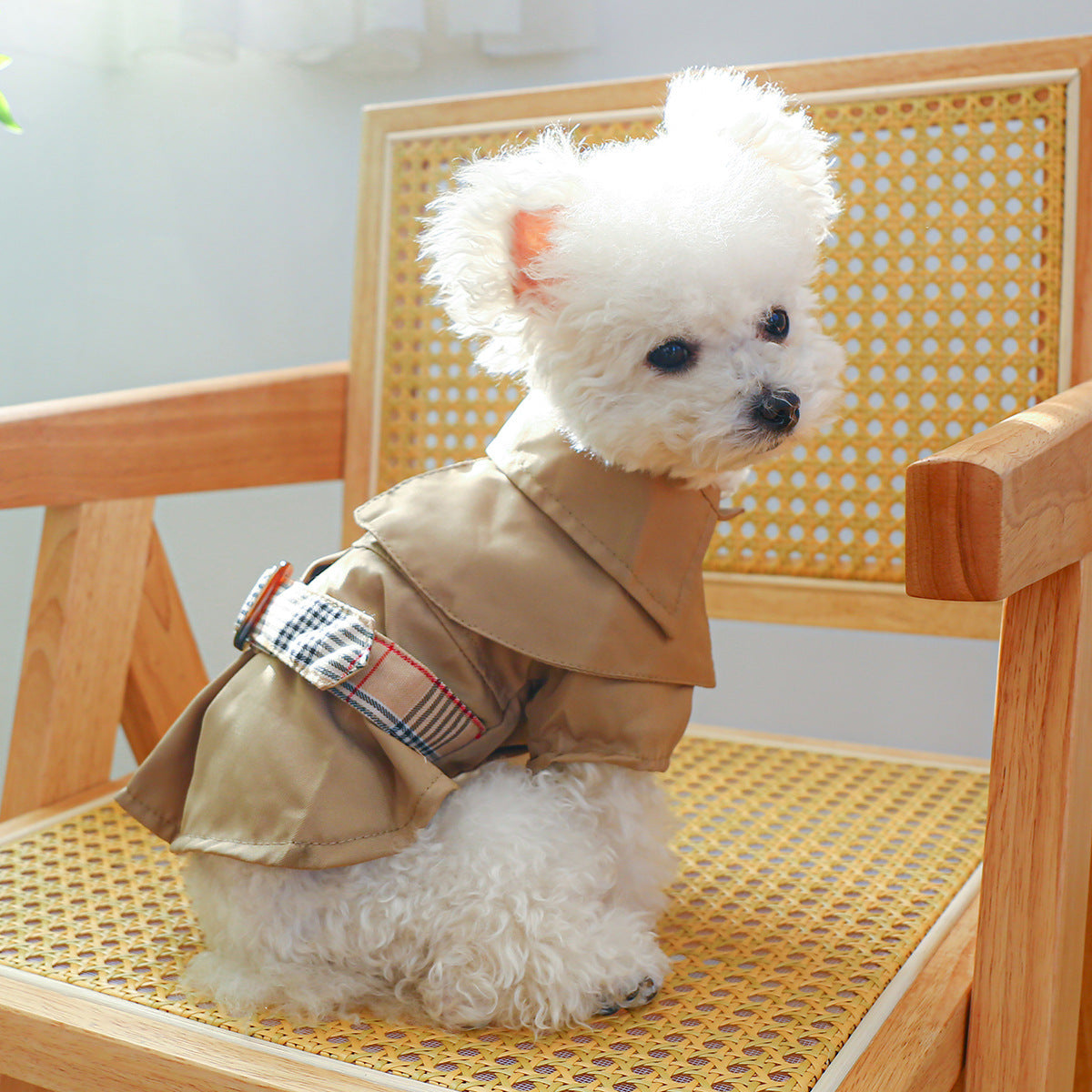 Pet Clothes Khaki Trench Coat Couple Clothes