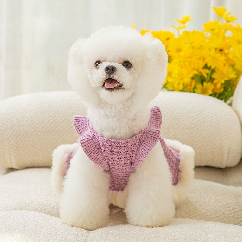 Bow Sweater Skirt Princess Wind Pet Two-legged Clothes